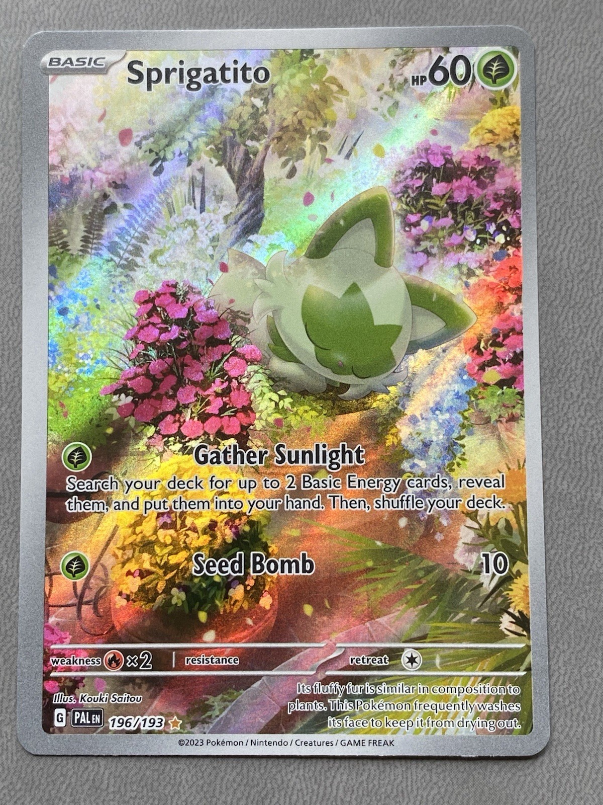 Sprigatito 196/193 PAL Paldea Evolved Illustration Rare Holo