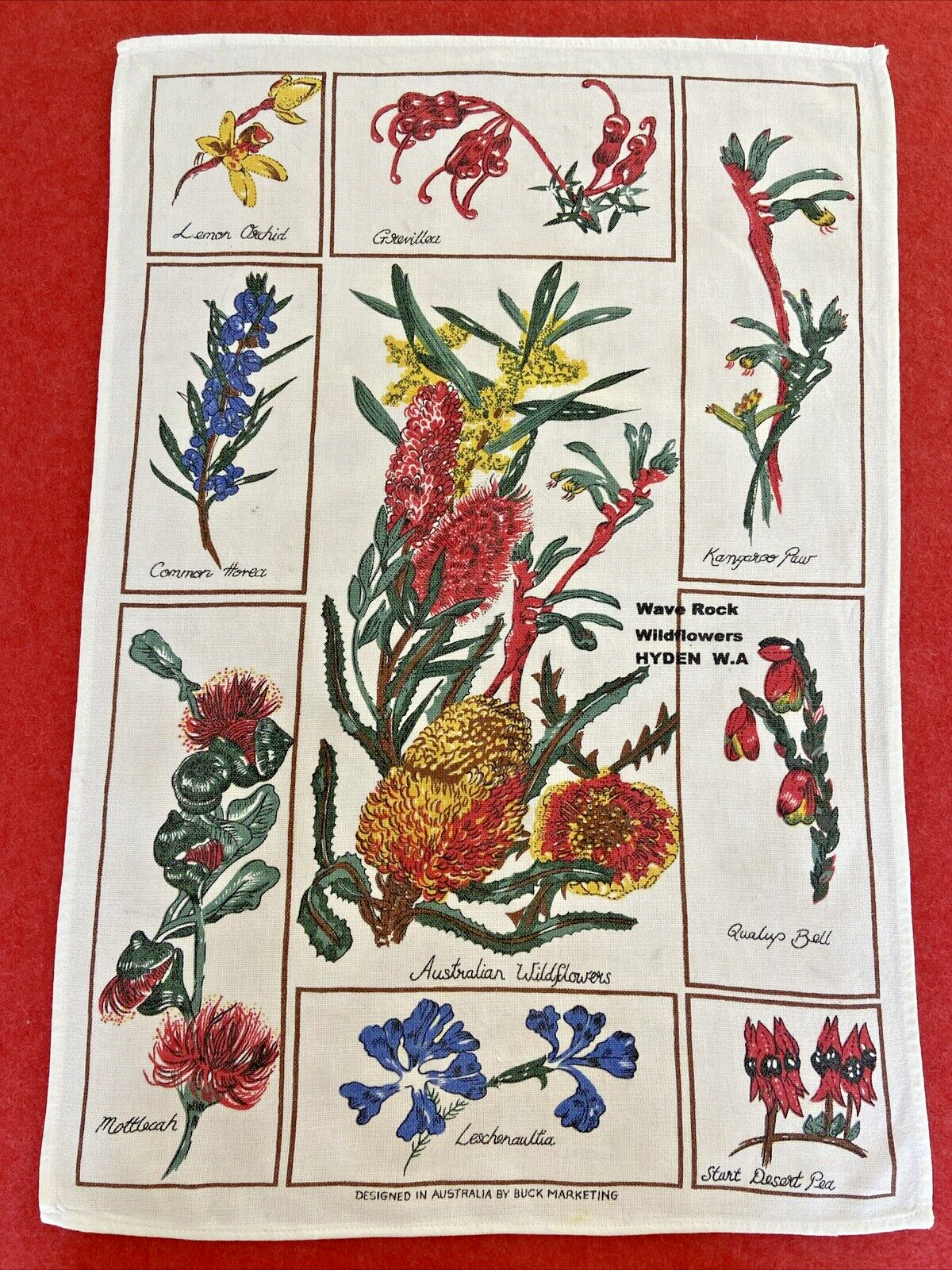 Picture 12 of 14