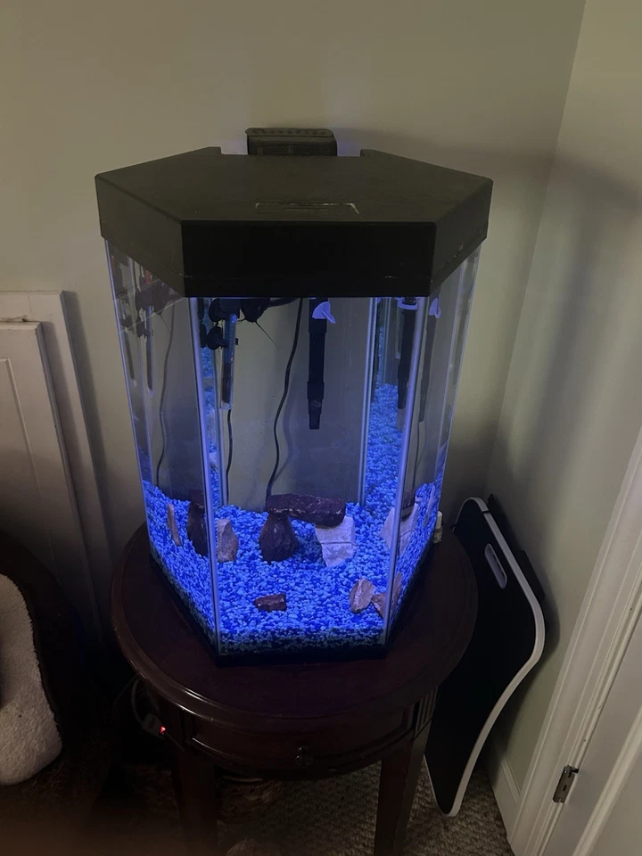 20 Gallon Tall Hexagon Aquarium with Heater, Filter, Hood, Light. Pick Up Only - Image 2 of 2