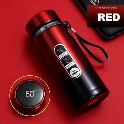 Stainless Steel Thermos Bottle with LED Temperature Display, 500ml-1L