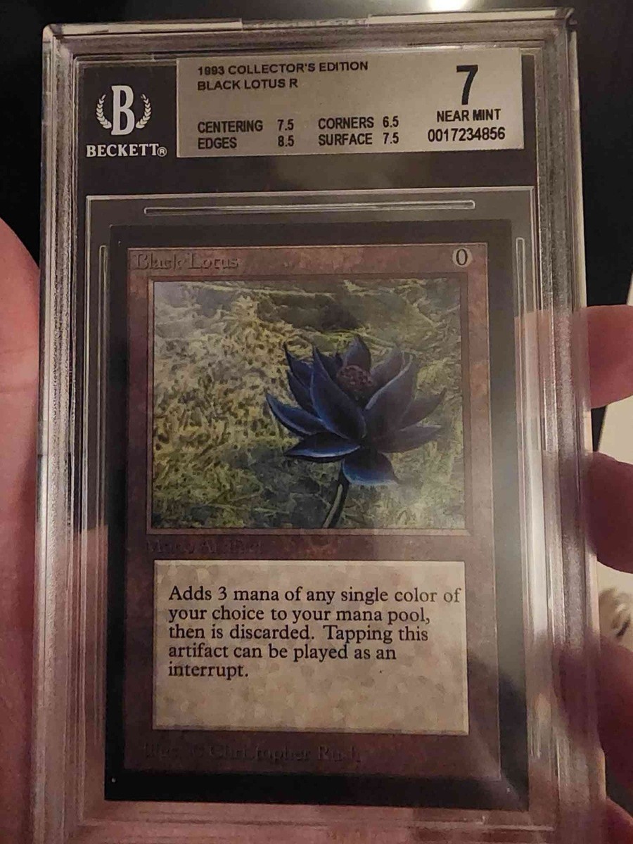 マジック：ザ・ギャザリング - Black Lotus 2ED PSA6 MTG, マジック:ザ・ギャザリング 通販 | ENNDAL GAMES / (2ED-RA