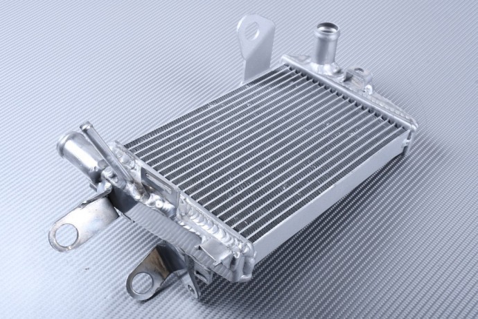 Radiateur eau gauche gauche Racing en aluminium pour moto BMW R1250R 2019
