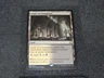 mtg commander legends vault of champions 360/361  non played