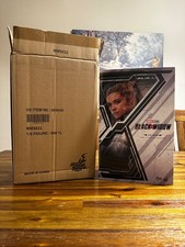 Hot Toys Marvel Yelena Belova MMS622 Black Widow 1 6 Scale Figure