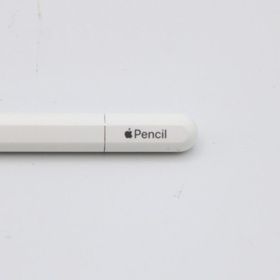Apple Pencil USB-C For iPad Models With USB-C Connector In White