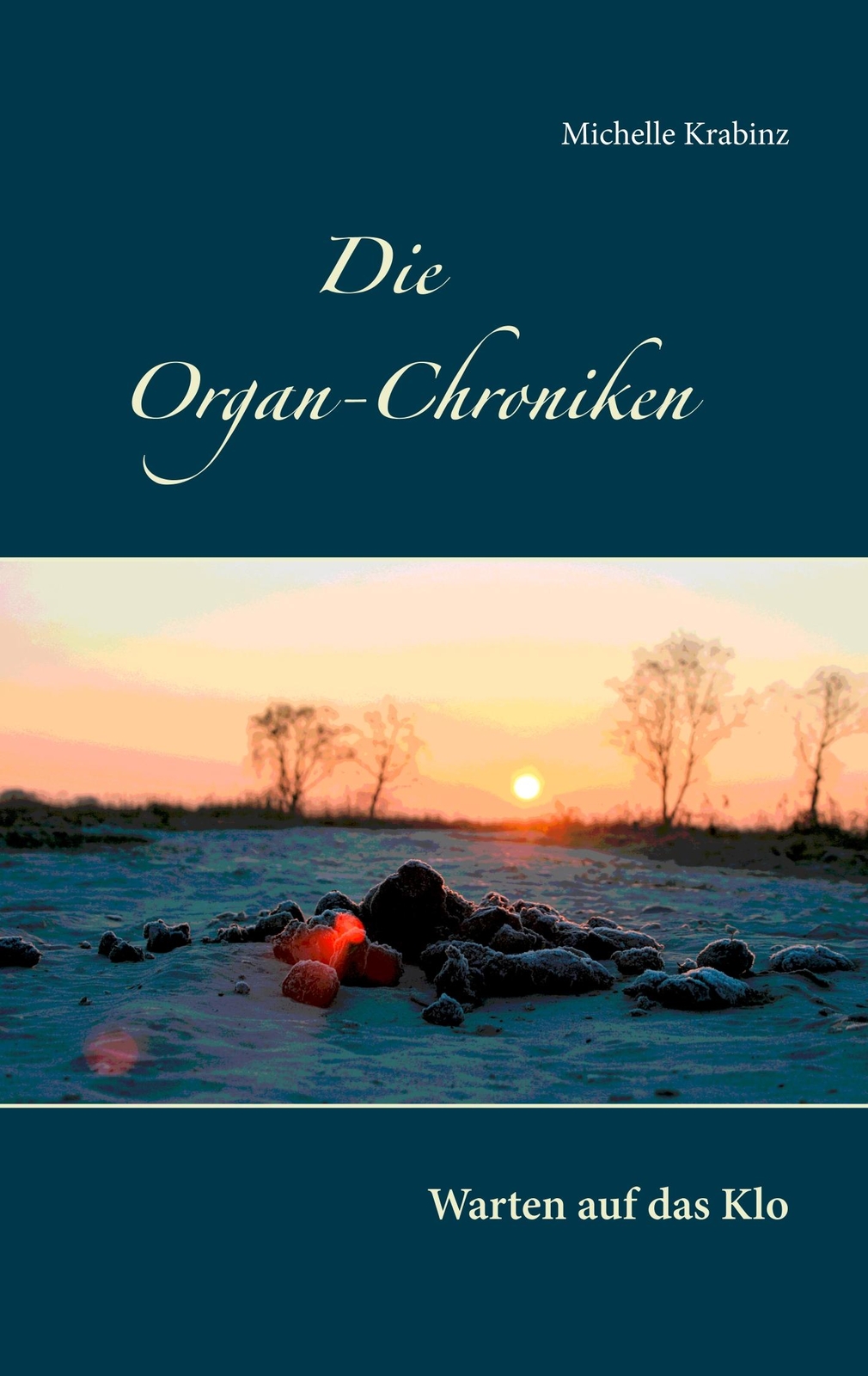 Thumbnail - Die Organ-chroniken | Buch | 9783744820318