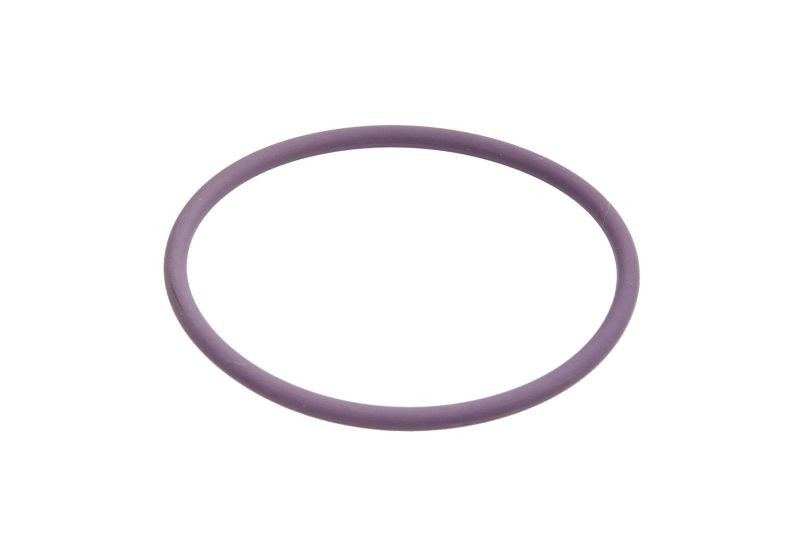 Fits DELPHI DEL7200-0070 Seal Ring DEL7200-0070 O-ring (price per 10p ⭐UK Stock⭐