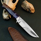 9.3" D2 Steel Hunting Knife Full Tang Resin Handle Fixed Blade Leather Sheath — photo 6