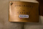 Foto 4 di 6