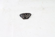 eBay Auction Picture