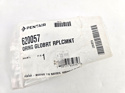 Pentair GloBrite O-Ring Replacement Kit 620057 | eBay