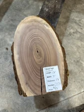 Black Walnut Cookie Slab #2339, live edge slab, unfinished, free shipping