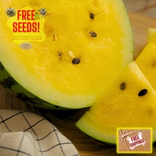 Fresh Delicious Golden Honey Watermelon Seeds | Heirloom Non-GMO | Fruit seeds