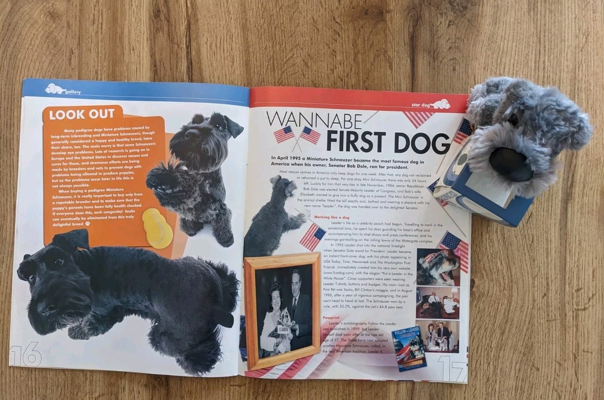 Kenyalogy The Ark Animal Rescue Centre Bichon Frise Rescue Small