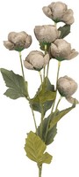Clayre & Eef 6PL0409G Dekoration Zweig Mit Blumen 10X10X63 Cm Grau-GrüN