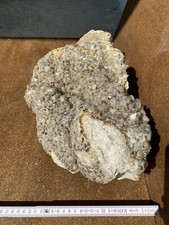 Rauchquarz Auf Matrix,Bergkristall, Quarz,Quarzstufe,Heilstein,Rauchquarz,21,1kg