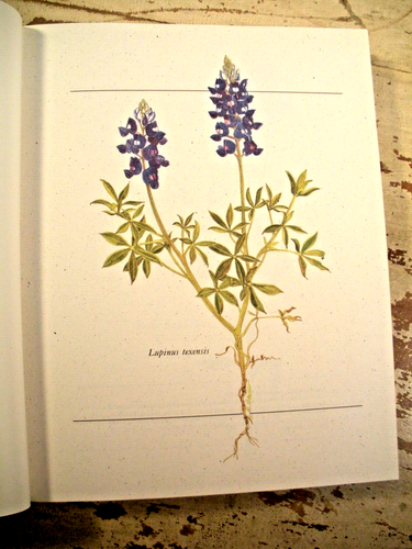 WILD ABOUT TEXAS Cypress - Woodlands Junior Forum Award Winning Cookbook HC - Picture 10 of 24