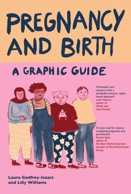 PREGNANCY & BIRTH A GRAPHIC GUIDE by GODFREY-ISAACS, LAUR Paperback Self Help