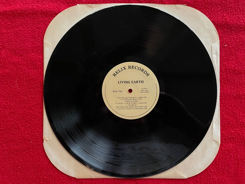 LIVING EARTH "SELF TITLED" LP 1988 RELIX RECORDS RRLP-2033 RARE USA NM- - Picture 5 of 7