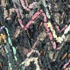 Bild 8 von 15