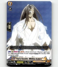 Cardfight!! Peak of Ascetics, Mikihisa Asakura Shaman King D-TB03/070EN - R