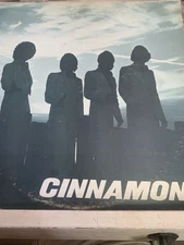 Cinnamon~Self-Titled LP~RARE 1977 Private Label Rock~FAST SHIPPING!!