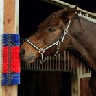 Bild 8 von 12