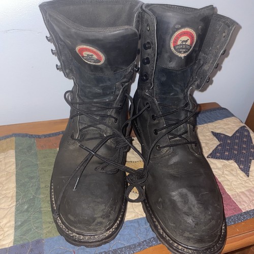 irish setter mesabi black