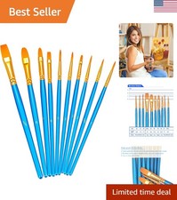 Paint Brush Set, 10pcs Round Pointed Tip Nylon Hair Artist Detail Paintbrushe...