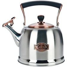3.0 Quart Tea Kettle, Stainless Steel Teapot, Heat Proof Ergonomic Handle