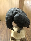 Foto 11 di 14
