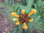 Bild 3 von 7