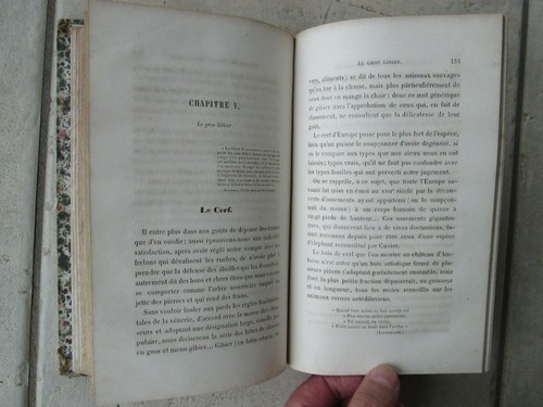 HOUDETOT : BRACONNAGE ET CONTRE-BRACONNAGE, 1858. - Picture 11 of 21