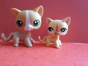 Littlest Petshop Lps Chat Europeen Ebay