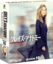 Grey's Anatomy Season 16 Compact Box [DVD]