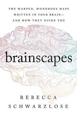 Brainscapes: The Warped, Wondrous Maps Written in Your Brain--And How They Guide