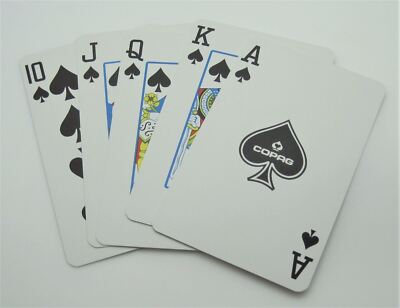 Mazzo Carte Da Poker Copag &ndash; WSOP 2016 Nero &ndash; Plastica USATO &ndash; Carte Da Bridge