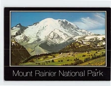 Postcard Sunrise Park Mount Rainier National Park Washington USA
