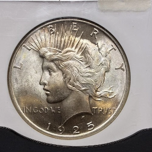1925 NGC MS 64 Peace Dollar beautiful color and amazing strike!