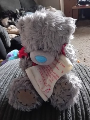 Carte Blanche Me To You My Blue Nosed Friends Tatty Teddy Special Edition Plüsch
