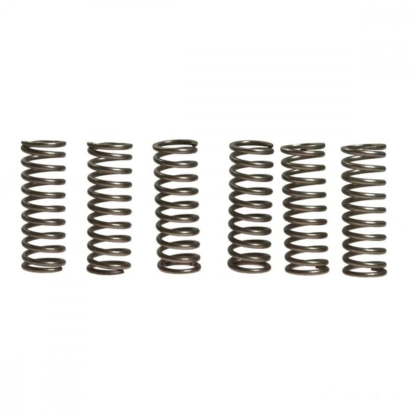 Kupplungsfeder VerstäRkt (6Stk) Ebc CSK069 FüR Suzuki GSX-R 600 U3 Bj. 2006-2008-image
