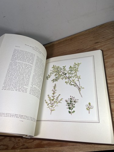 An Irish Florilegium Hardcover Wendy Walsh - 第 16/21 張圖片