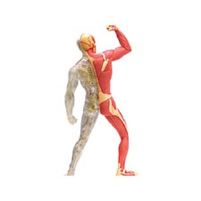 4D Master Puzzle Toy Anatomy Model Of Human Muscles and Organs DIY Popular Scien