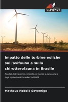 Matheus Hobold Sovernigo | Impatto Delle Turbine Eoliche Sull'avifauna E...