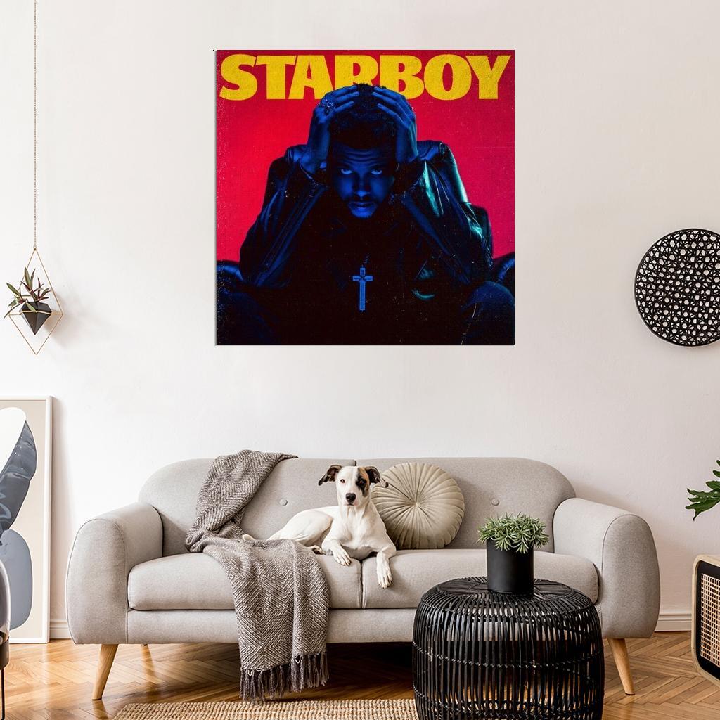 558435 The Weeknd 