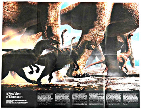 1989-6 National Geographic Map Animal MARCH TOWARD SPECIES EXTINCTION June (BA7) - Picture 3 of 3