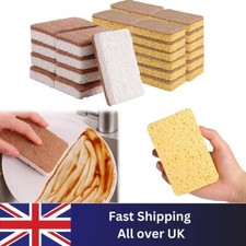 Eco-friendly Plastic Free Kitchen Sponge 100% Biodegradable Compostable 6 Pack