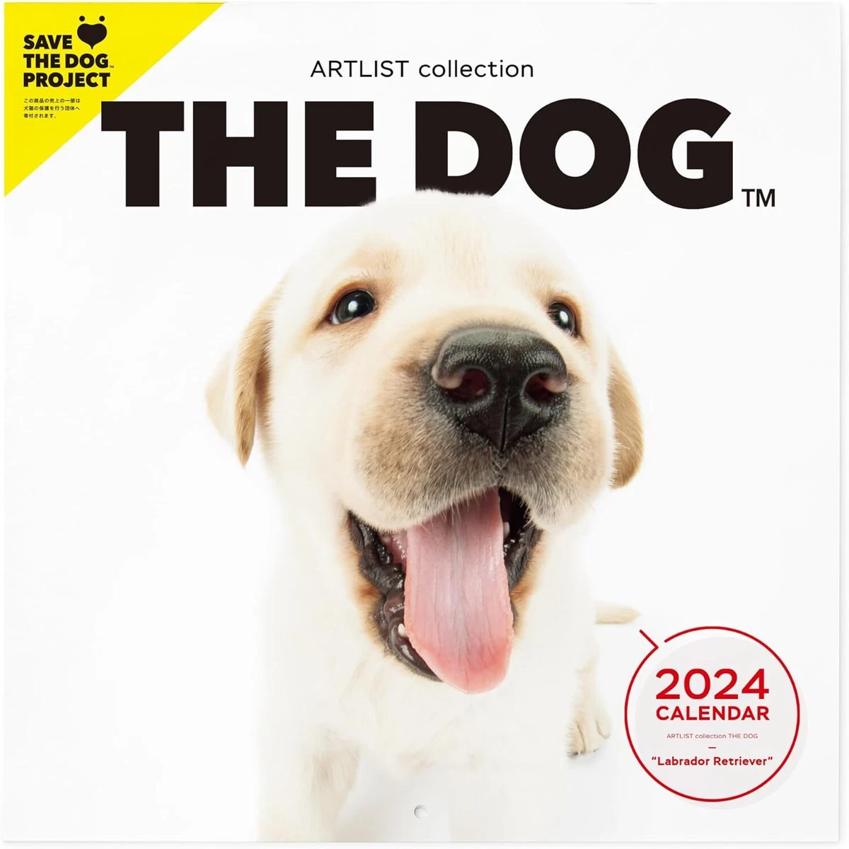 2024 THE DOG Labrador Retriever Monthly Wall Calendar from JAPAN | eBay