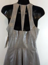 Halston Dress Women's 4 Silver Sleeveless Metalic Cutout Back New With Tags