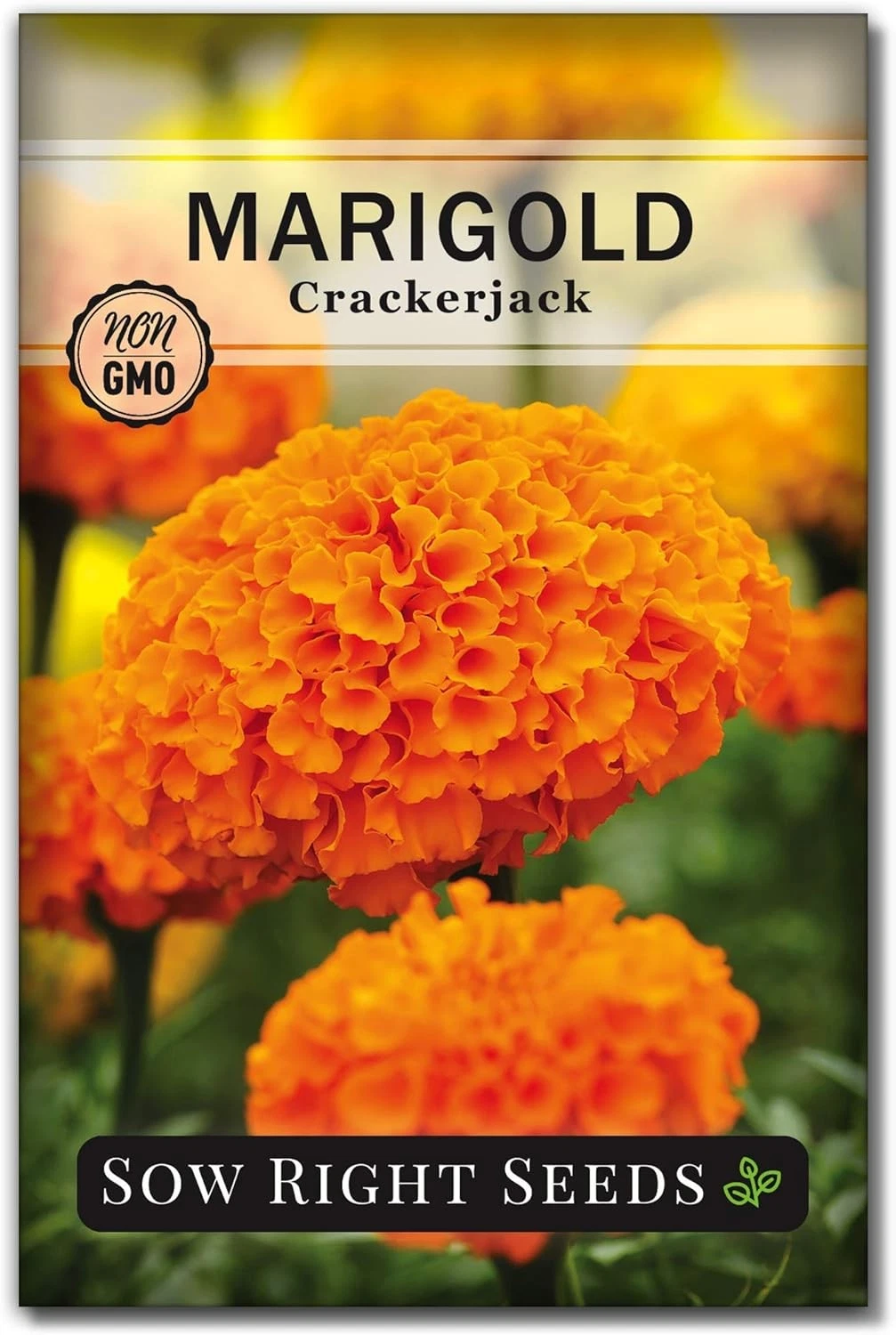 Sow Right Seeds Crackerjack Marigold - Thumbnail 2